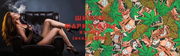 спиды Аркадак