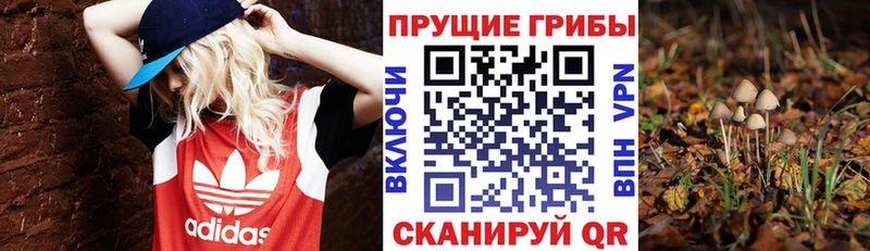 Псилоцибиновые грибы Magic Shrooms  нарко площадка телеграм  Полярный  blacksprut рабочий сайт 